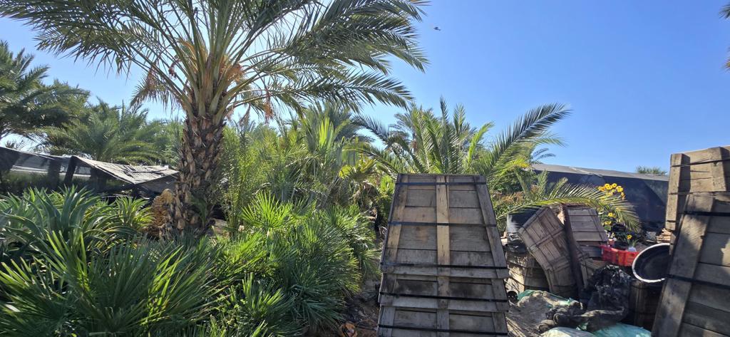 Not Applicable-1 - Land