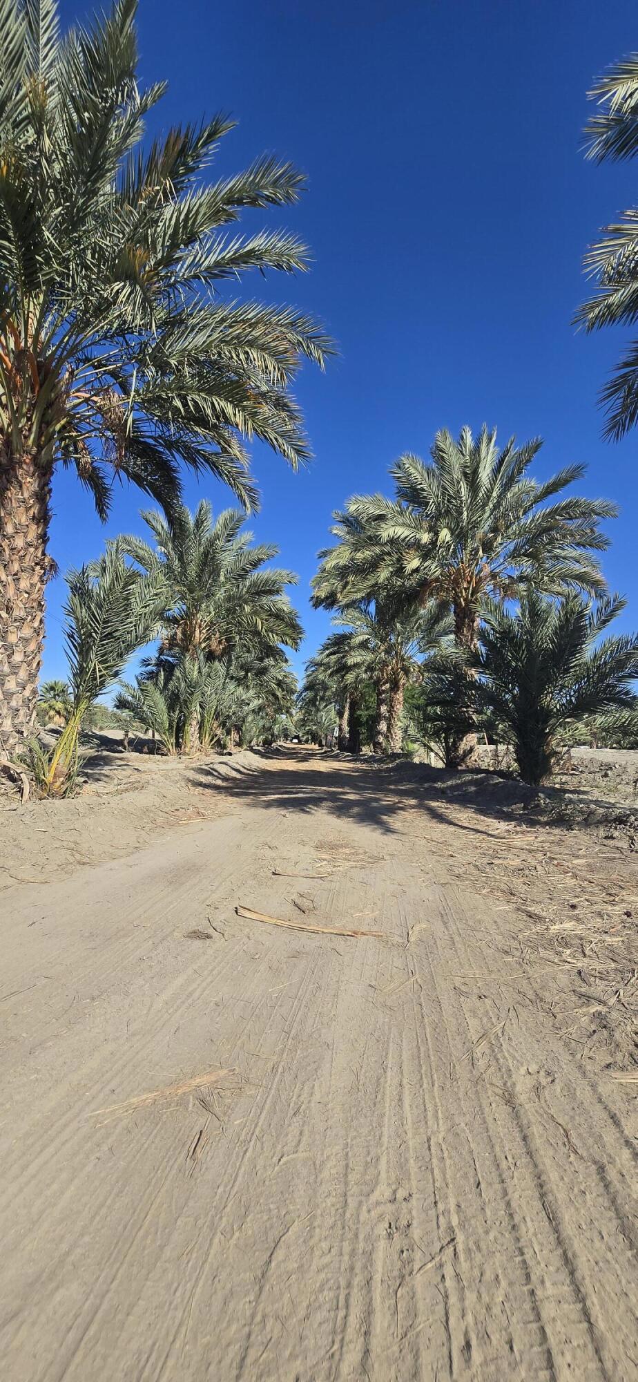 Not Applicable-1 - Land