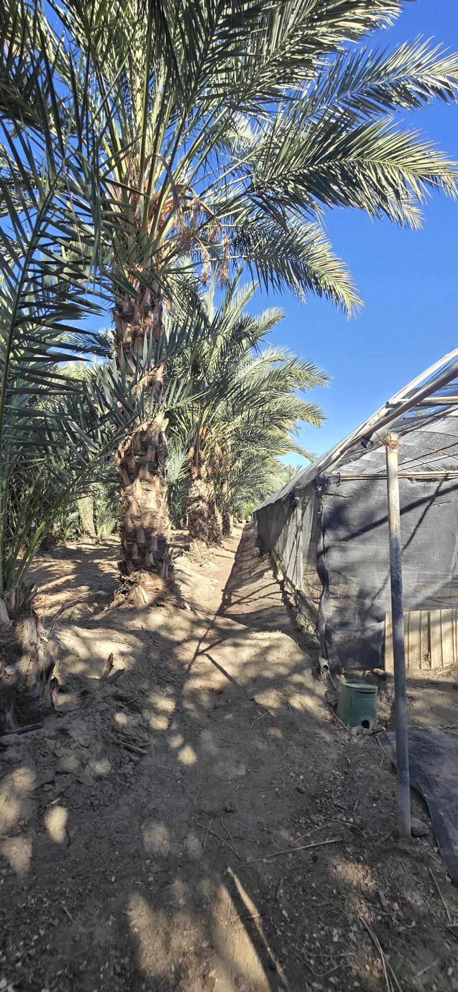 Not Applicable-1 - Land