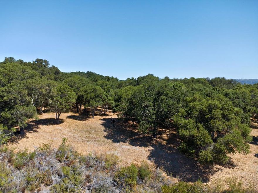 Located in the Mesa area of the Santa Lucia Preserve, this 37-acre parcel offers the ideal balance of privacy, dramatic natural beauty, and proximity, just 12 minutes from both The Gatehouse and The Preserve's exceptional Club amenities. Set among majestic oaks with sweeping views of Robinson Canyon and the Santa Lucia foothills, the homesite features a generous 4.32-acre building envelope. The property allows for a one-story main residence, guest house, and ADU, each with potential for its own view and distinct character, whether overlooking peaceful oak woodlands, pastoral hills, or the canyon's striking contours. Enjoy sun-drenched days and the convenience of being just minutes from Carmel and the heart of The Preserve community. Residents enjoy almost 100 miles of private trails for hiking, biking, and horseback riding. Membership to The Preserve Golf and Ranch Club offers world-class amenities including the Tom Fazio-designed golf course, Equestrian and Sports Centers, Moores lake, and the 1920s Hacienda for lodging and dining, events and summer camps. Water, fiber-optic internet, and utility conduit are available at the building envelope. Santa Lucia Preserve is a private, secure, gated community dedicated to land stewardship, luxury living, and a deep connection to nature.