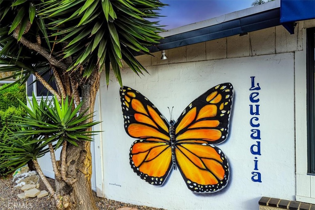 Leucadia - Residential