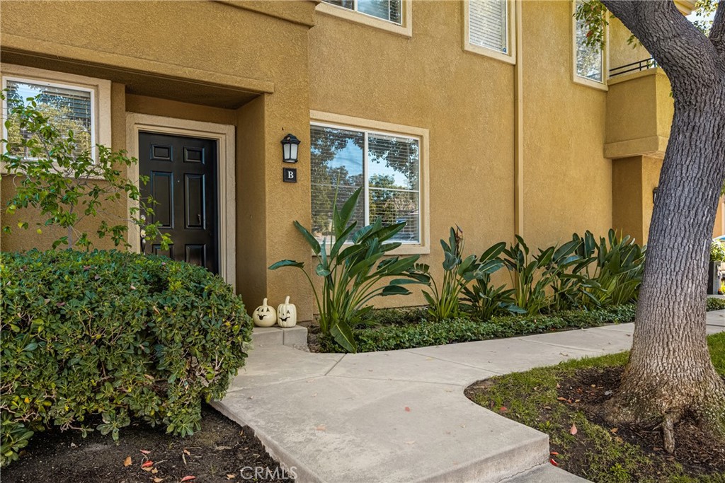 Bluffs at Belmont - Residential