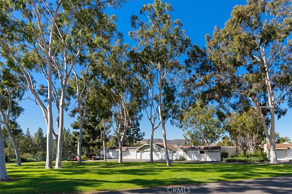 Laguna Village (LV) - Residential