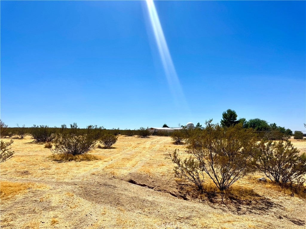 0 Penny lane