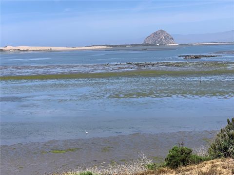 Photo of 1107 Pasadena Drive, Los Osos, CA 93402 (MLS # SC24254510)