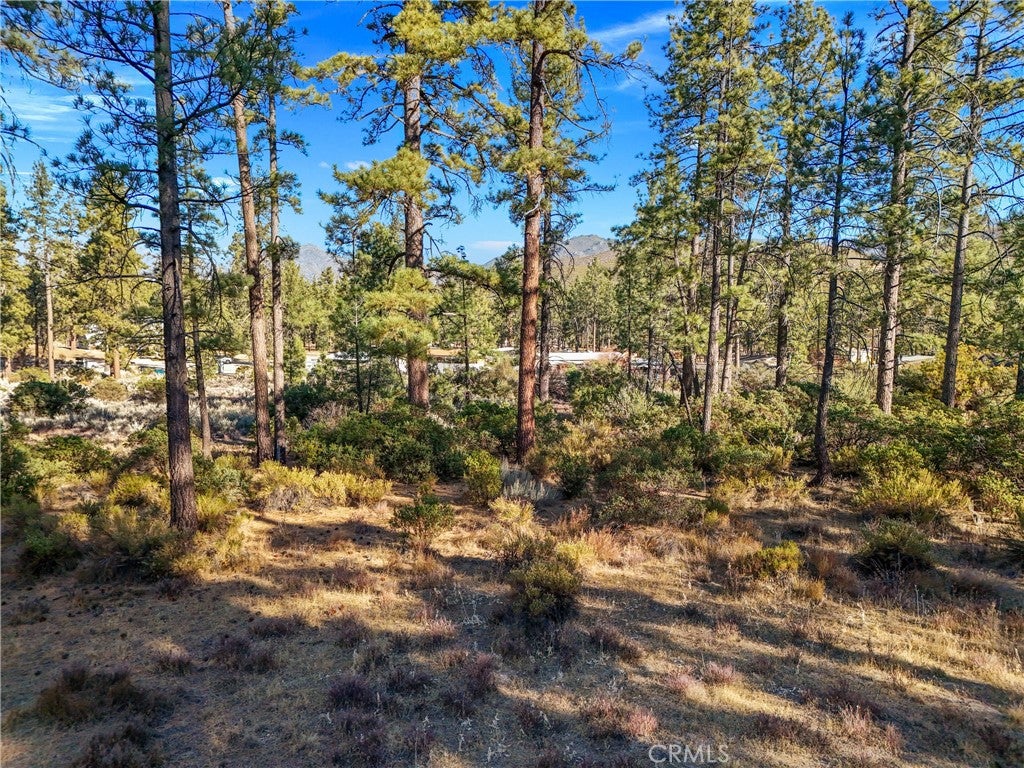 1 Pipe Creek Road