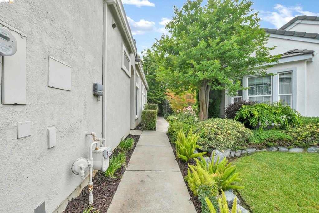 276 Black Amber Way