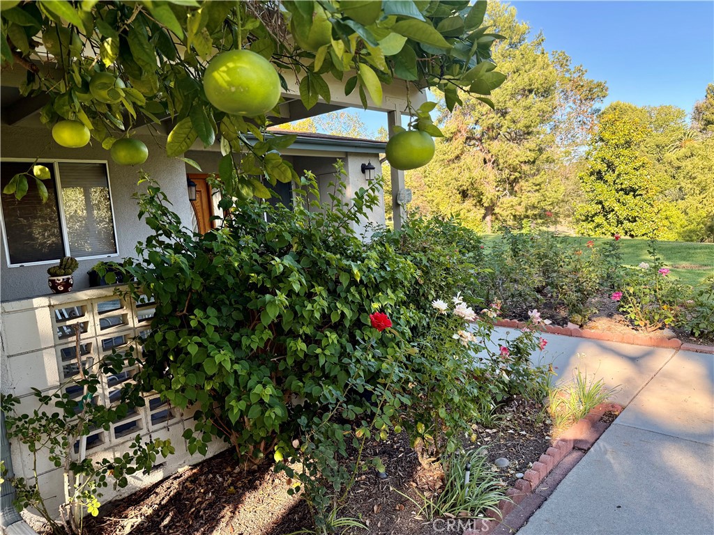 Leisure World (LW) - Residential Lease