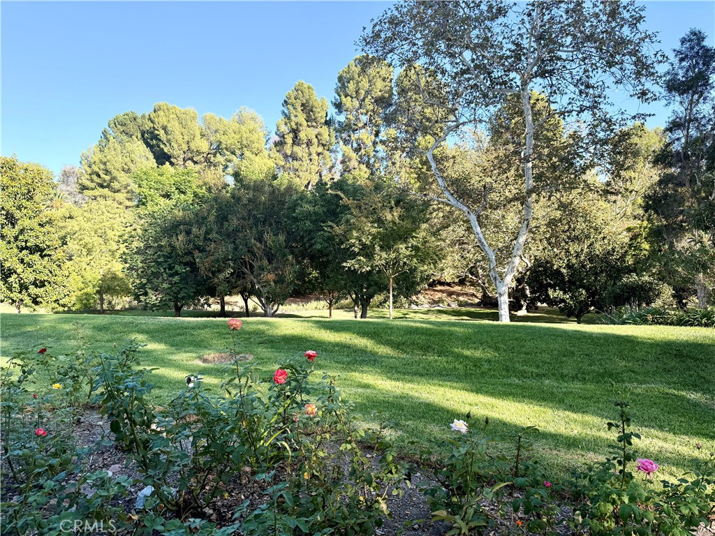 Leisure World (LW) - Residential Lease