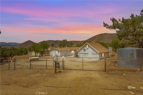 Photo of 34821 Katherinel Avenue, Acton, CA 93510 (MLS # SR25144107)