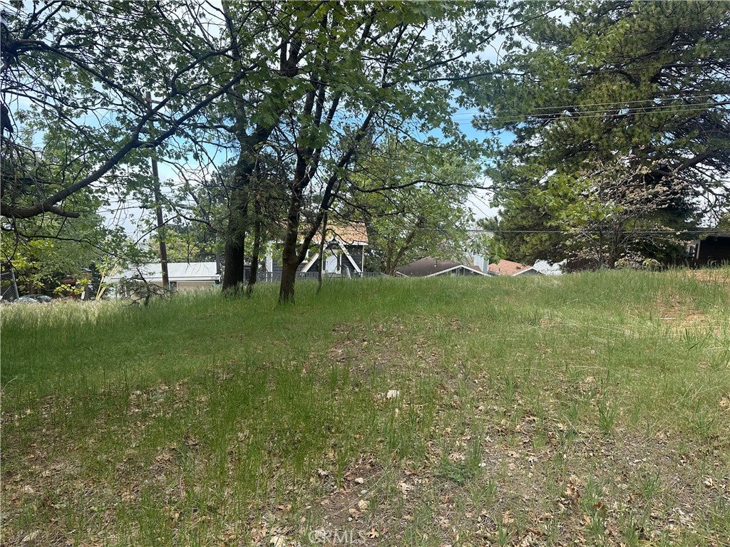 0 Deer Lick Lane