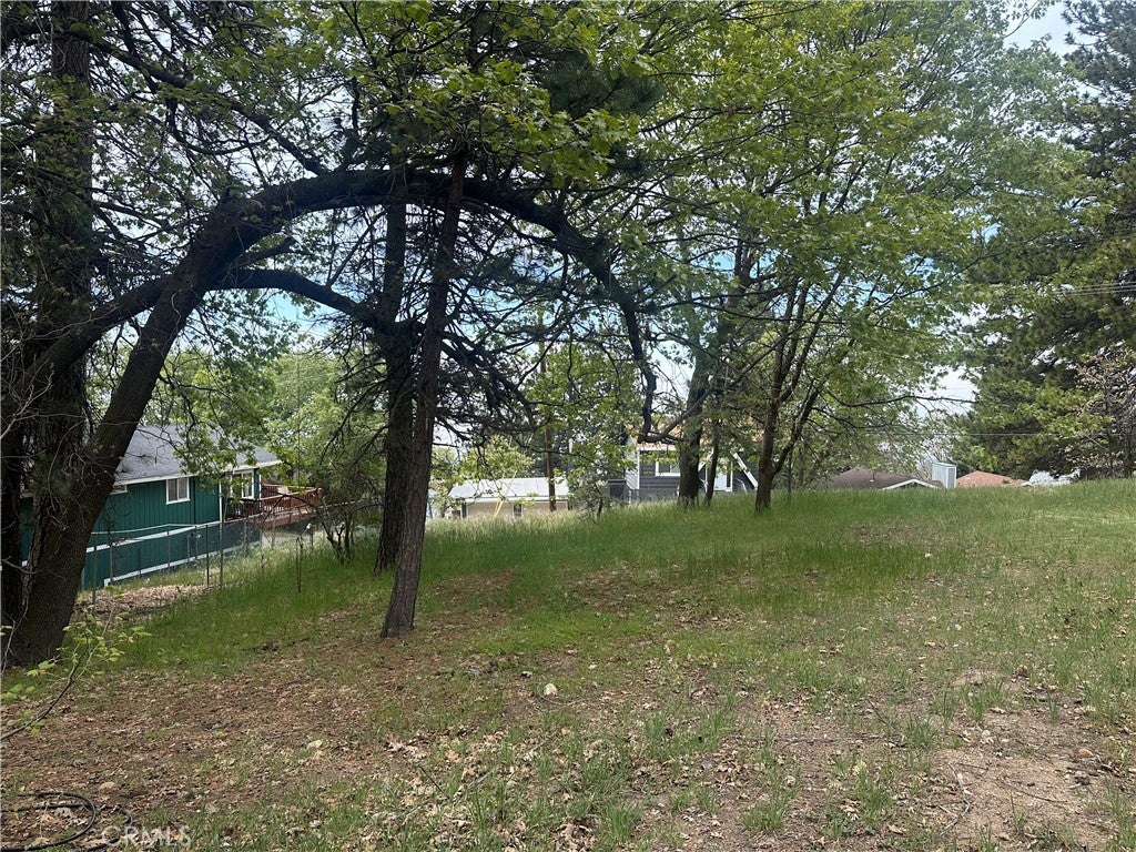 0 Deer Lick Lane