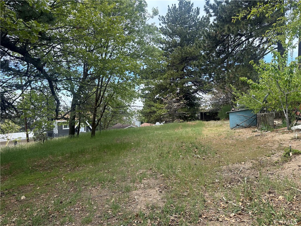 0 Deer Lick Lane