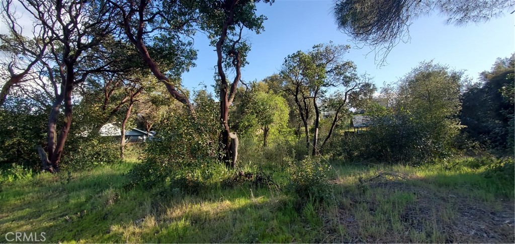 Looking for a quiet place to build, relax, or just get away from it all? Close to a quarter acre, this ample lot offers just that, with mostly level land and mature vegetation that gives it a secluded, natural feel. The lot stretches between two streets allowing for easy access. Utilities are at the street and zoning supports low-density development. Clear Lake’s beauty, boating, and fishing are just down the road—and you’re still close to everyday amenities. A beautiful place to start something new.