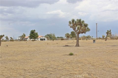 Photo of 111 La Mirada Road, Phelan, CA 92371 (MLS # HD25162108) Photo of 111 La Mirada Road, Phelan, CA 92371 (MLS # HD25162108)