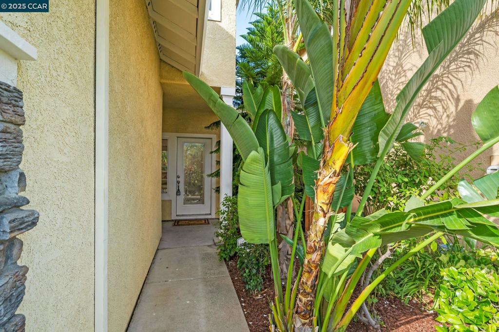 PACHECO - Residential