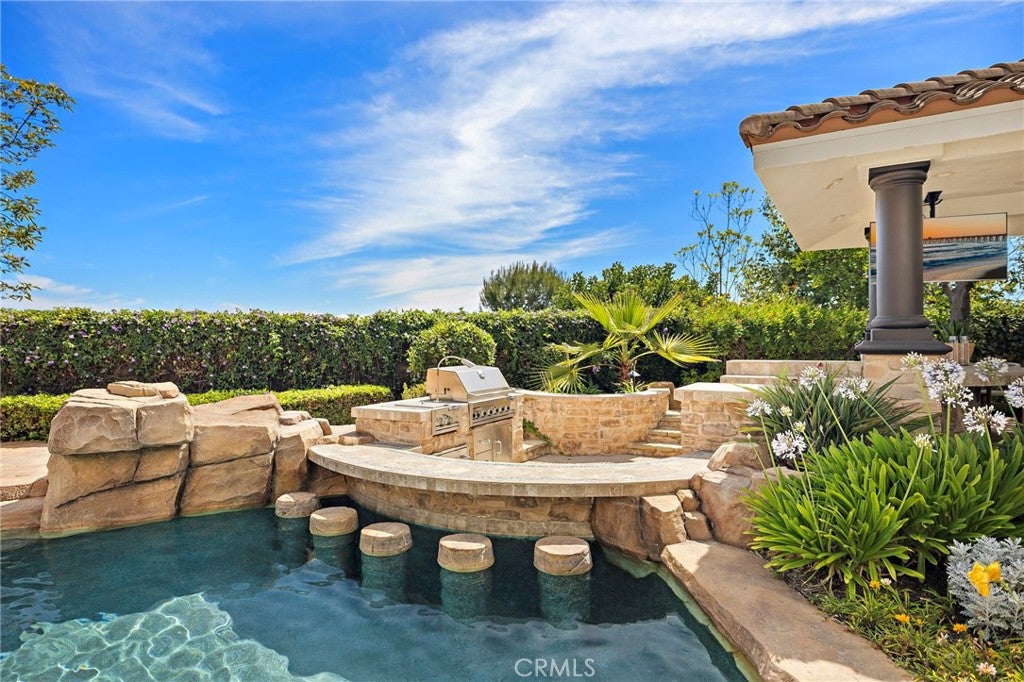 8 Brittlestar Road, Ladera Ranch CA 92694 - Photo 12