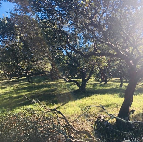 Tiny photo for 456 Squire Canyon Road, San Luis Obispo, CA 93401 (MLS # SC26209907)