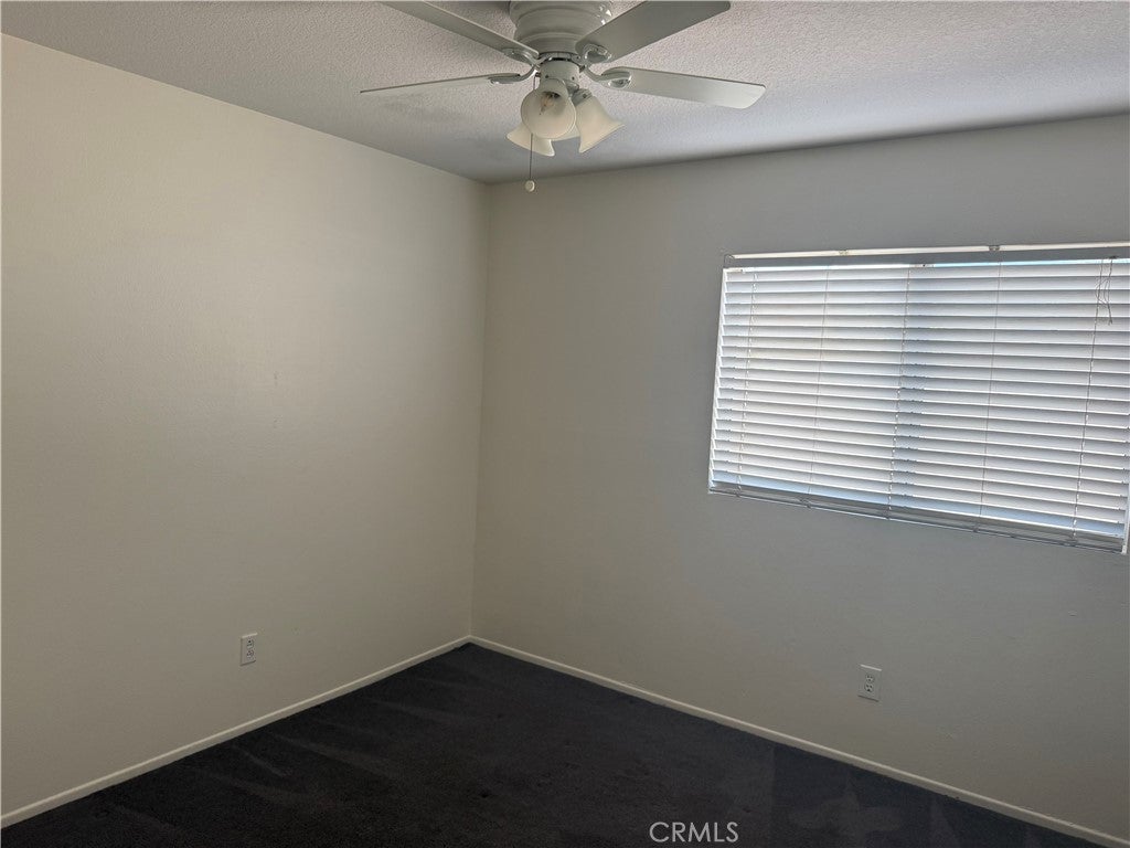 15189 Sunflower