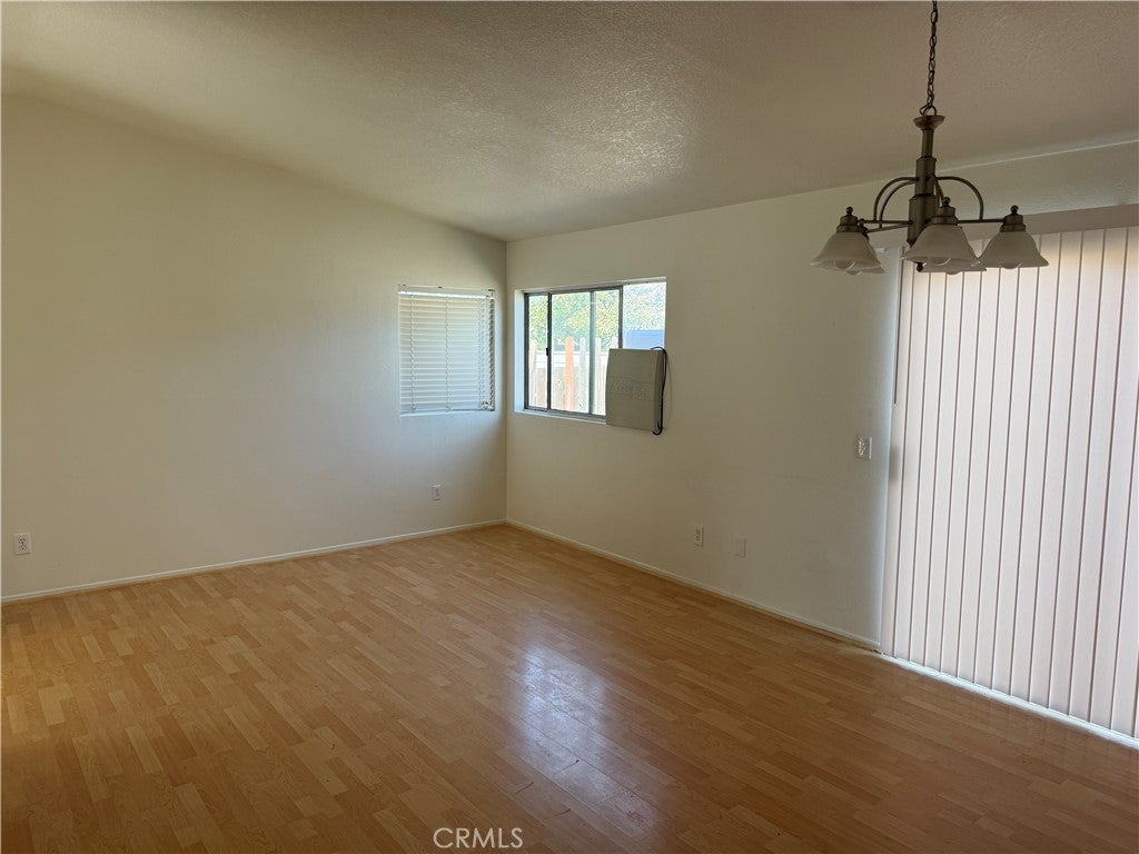 15189 Sunflower
