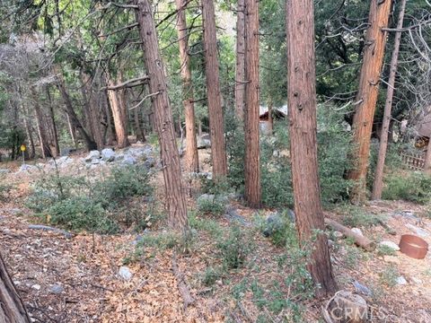 Photo of 40904 Spruce Dr, Forest Falls, CA 92339 (MLS # IG26012496)