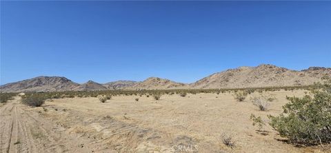 Photo of 800 Algoman Avenue, Lucerne Valley, CA 92356 (MLS # HD25278636)