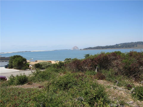 Photo of 1168 10th Street, Los Osos, CA 93402 (MLS # SC26030352)