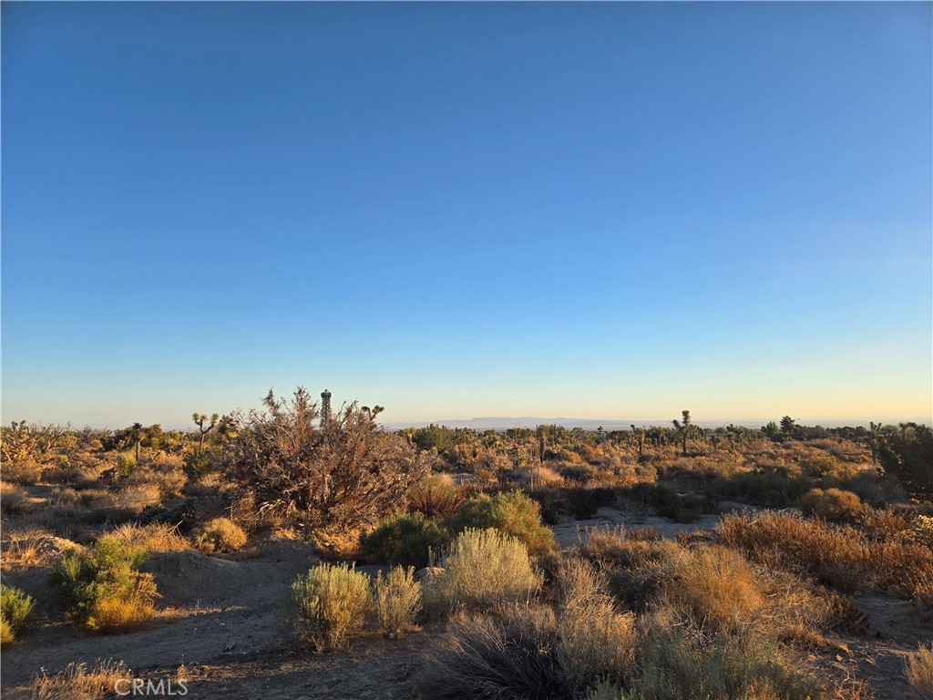 4044 Nielson Road