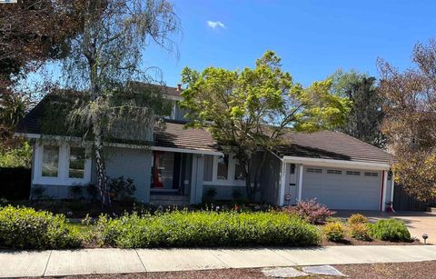 42991 Luzon Dr Fremont CA 94539