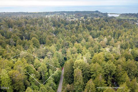 Photo of 32100 Forest Lane, Fort Bragg, CA 95437 (MLS # C1-11095) Photo of 32100 Forest Lane, Fort Bragg, CA 95437 (MLS # C1-11095)