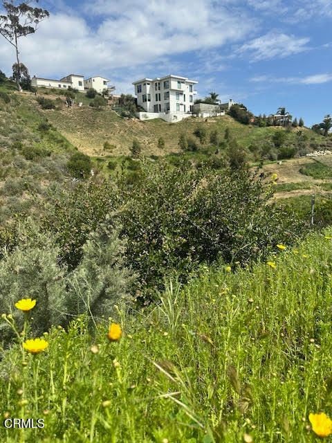 Tiny photo for 310 N Kalorama Street, Ventura, CA 93001 (MLS # V1-34571)