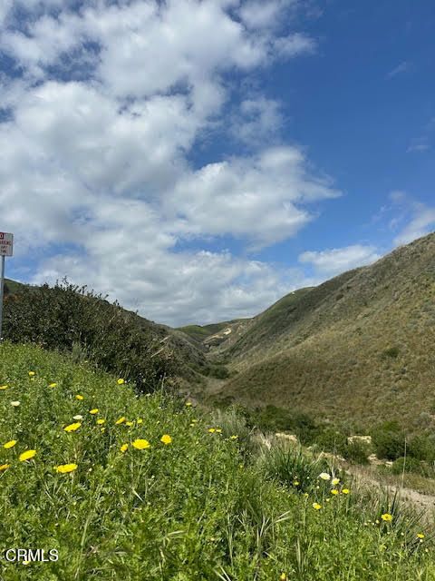 Tiny photo for 310 N Kalorama Street, Ventura, CA 93001 (MLS # V1-34571)