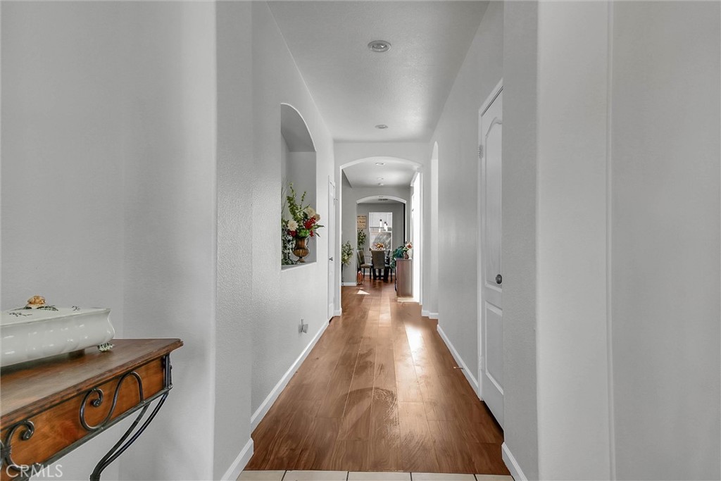 3010 Sand Pine
