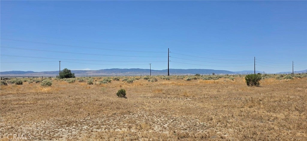0 Rosamond Boulevard