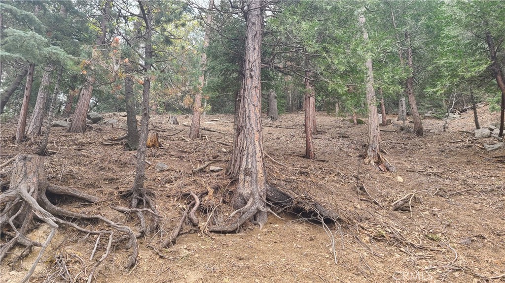 Crestline (CRES) - Land