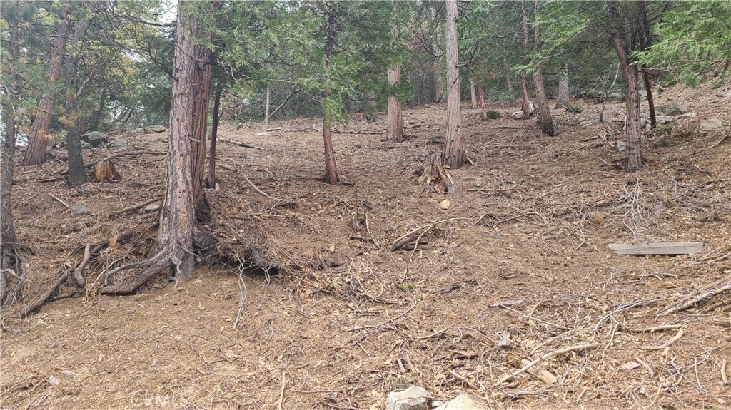 Crestline (CRES) - Land