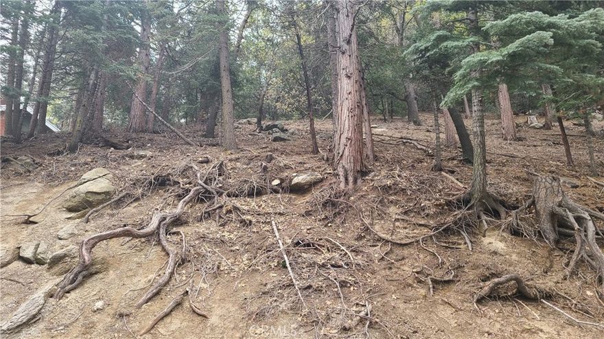 Here is a great upslope lot in a gorgeous area of Crestline. This is the perfect place to build your mountain home or vacation rental investment property. It's located just moments from Lake Gregory, just a few minutes from Lake Arrowhead, and within 20 minutes of Snow Valley Ski Area. All utilities available in the area are here, however, this is an area where a septic system will be needed. If you're looking for a great spot to create a mountain dream home, this is it. Please note that the street number shown here is actually the lot number. No address has yet been assigned to this property by the county. We use the lot number as a placeholder only. Seriously, if building in the Crestline area is something you do, or are thinking about doing, this property is one you should probably consider. The location is perfect for that fairyland mountain retreat.