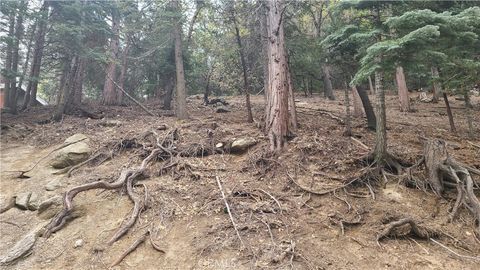 Photo of 60 Lausanne Drive, Crestline, CA 92325 (MLS # EV23082476)