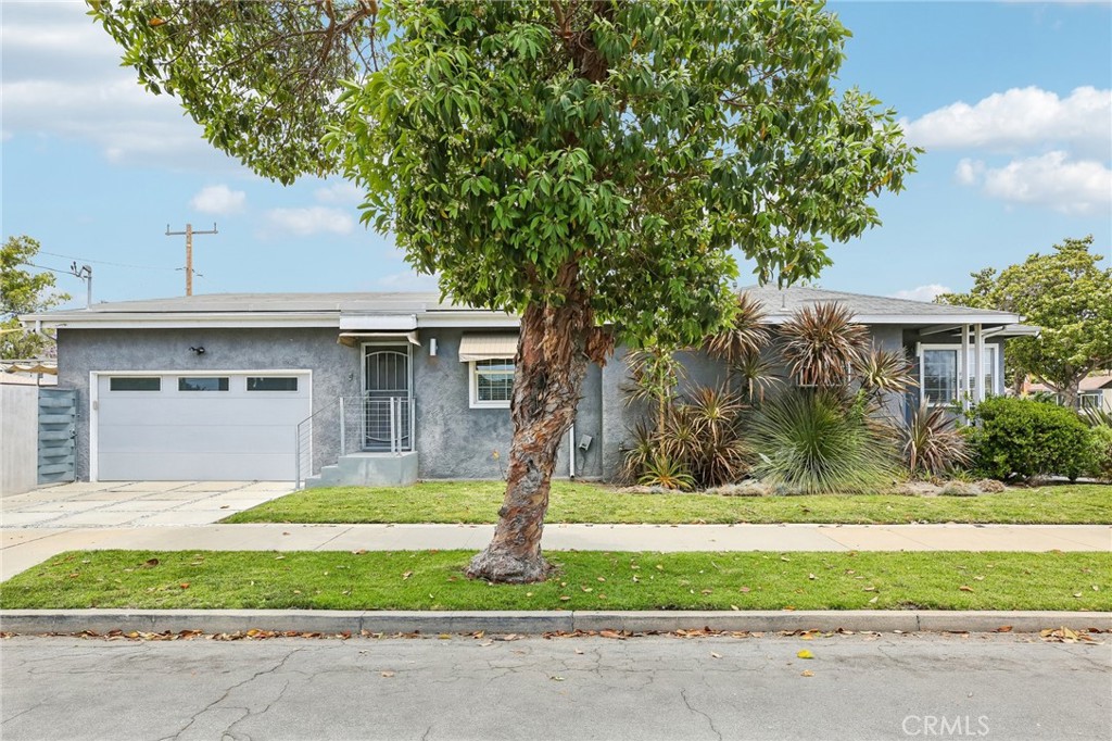 2905 Magnolia