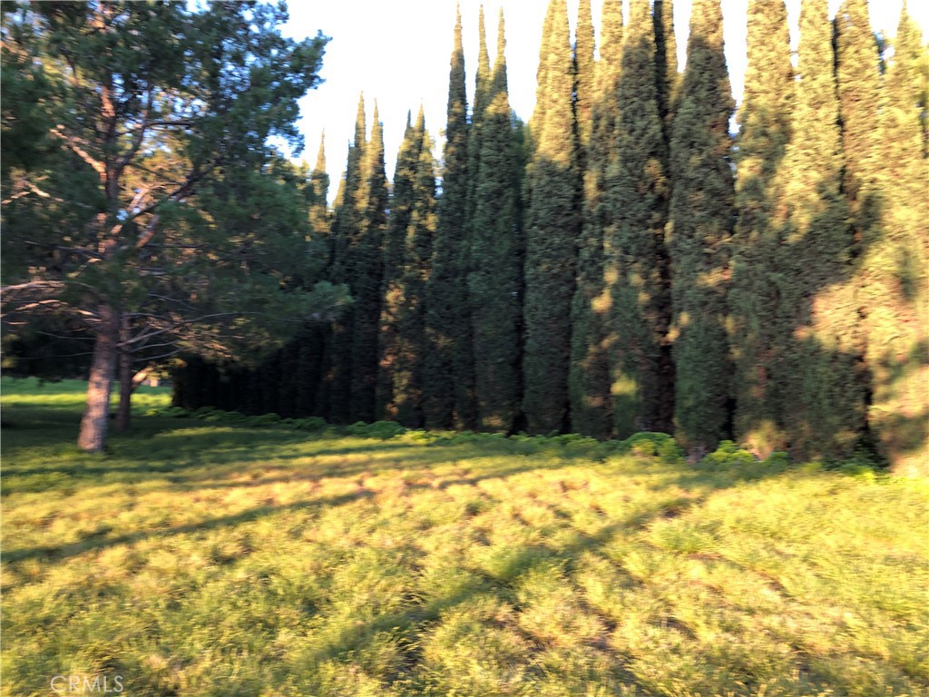 Lombard Court (WDLC) - Residential