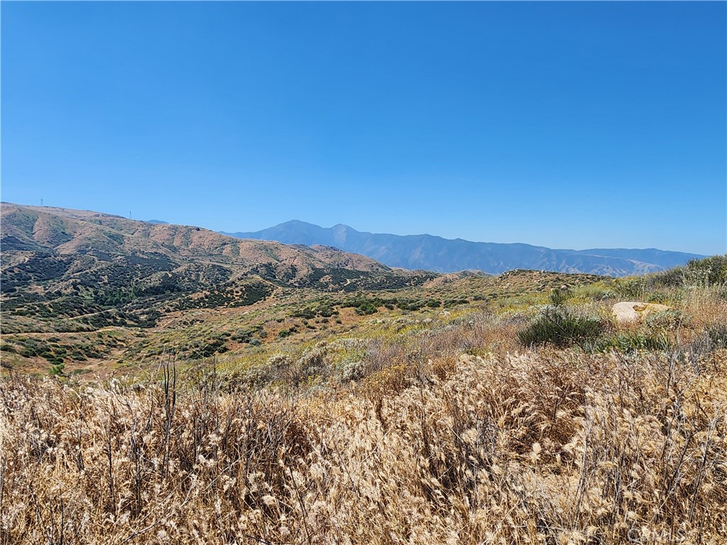0 Dawson Canyon