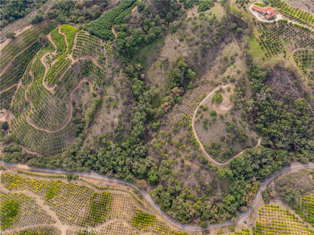 46121 avenida tierra