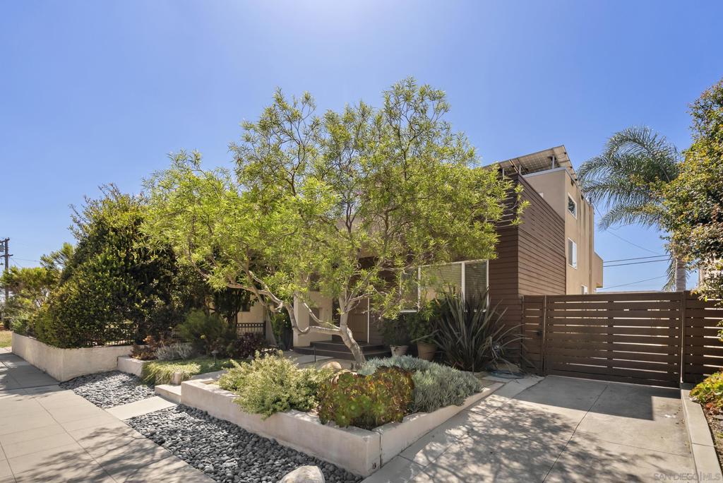 3437 Palm Street