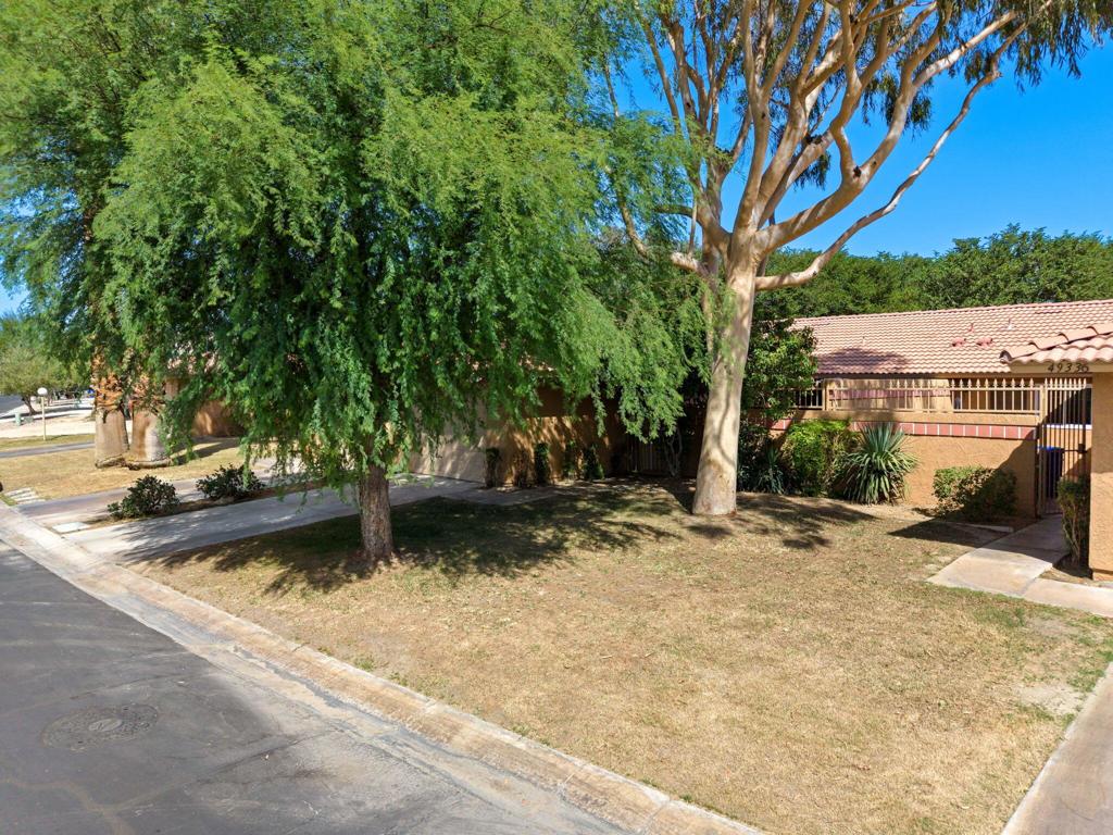 49324 Cochran Drive
