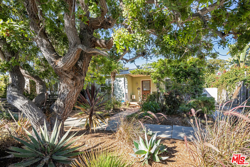 Charming 3BD/2BA in prime Venice near the iconic Canals and minutes to the beach. Lush landscaping and mature trees frame a welcoming front porch, while a private, sun-splashed back deck is surrounded by palm trees and your own fruit trees - perfect for your morning coffee or to wind down from a busy day. Inside, the open kitchen - featuring an island and double ovens - flows to the living/dining areas for easy everyday living and entertaining. Enjoy coastal living with quick access to Abbot Kinney's shops, cafes, and restaurants. An ideal Venice retreat on a coveted street with your own garage and parking in the driveway.