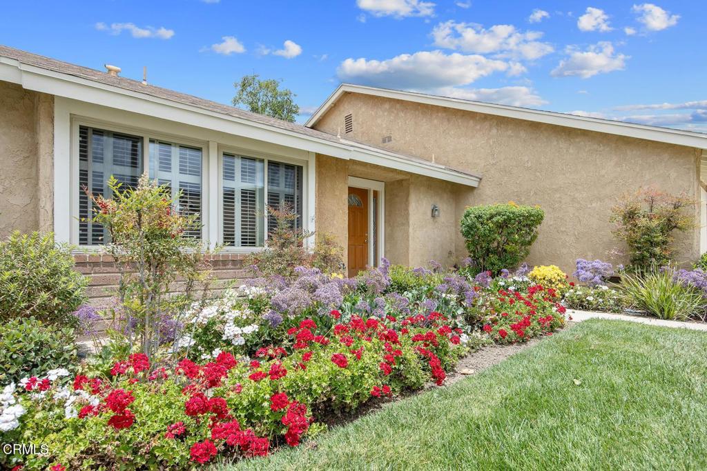 29201 Village 29