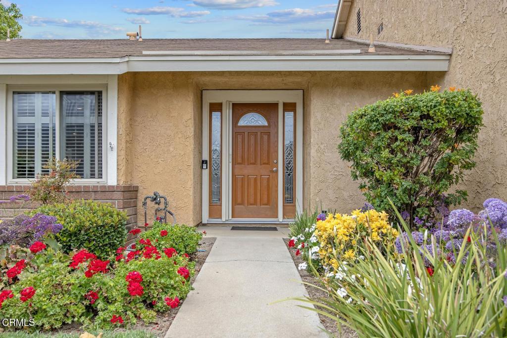 29201 Village 29