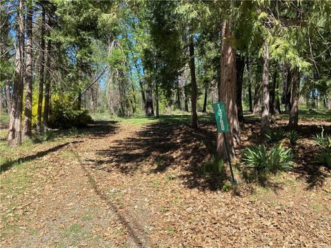 Photo of 13790 Curtis Court, Magalia, CA 95954 (MLS # SN26061313)