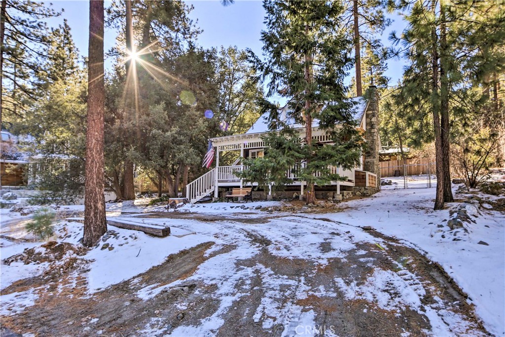 Main image without alt text