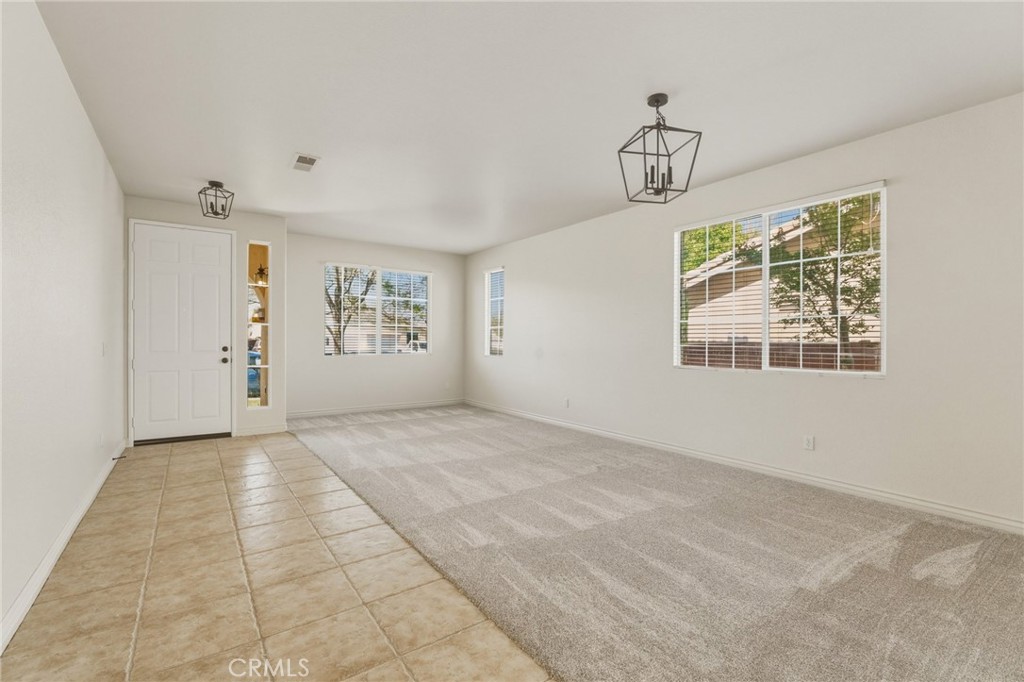 14373 Silent Spring